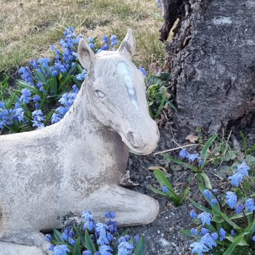 Statu av liggende hest sammen med blomstrende Scilla Siberica
